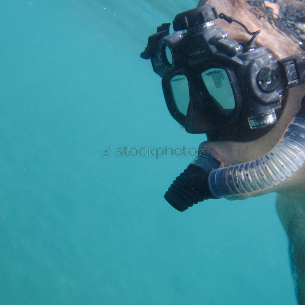 Similar – Diver with Bubbles tauchen