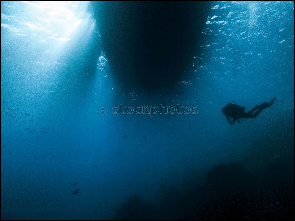 Similar – STELLA MARU Wreck Dive