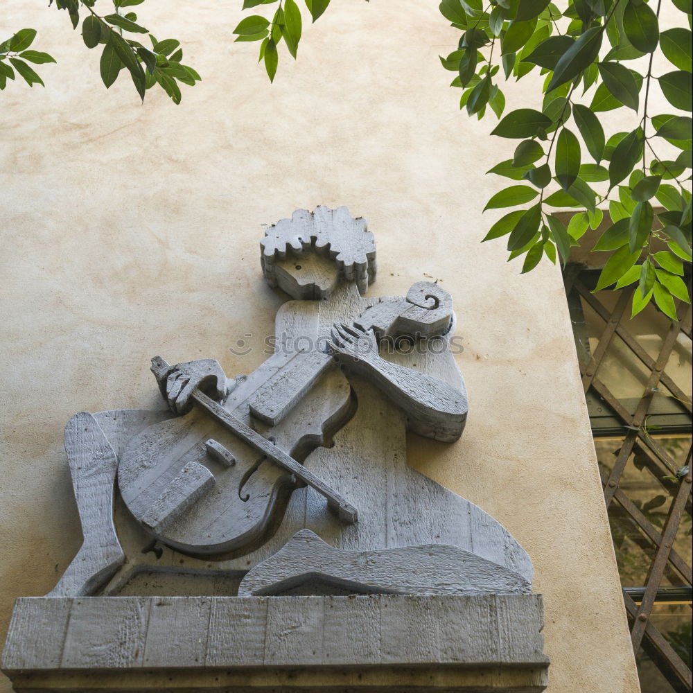 Similar – Image, Stock Photo Cimitero di Manarola