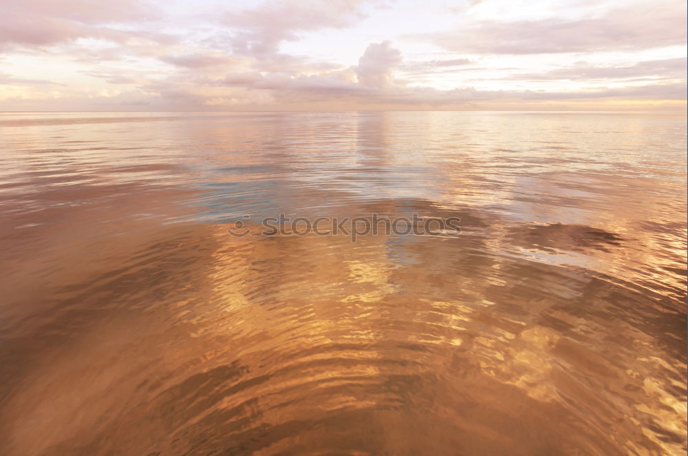 Similar – Image, Stock Photo favourite beach tortuguero