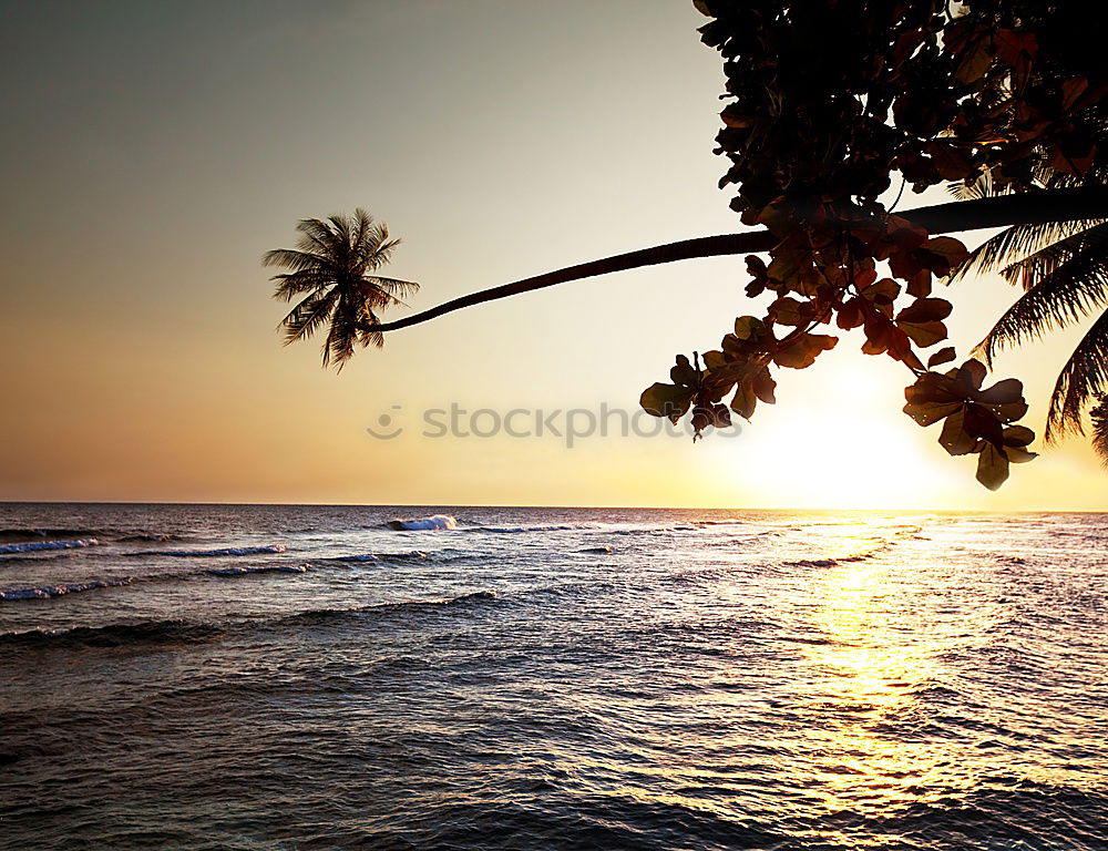 Image, Stock Photo Only the sound of the sea…