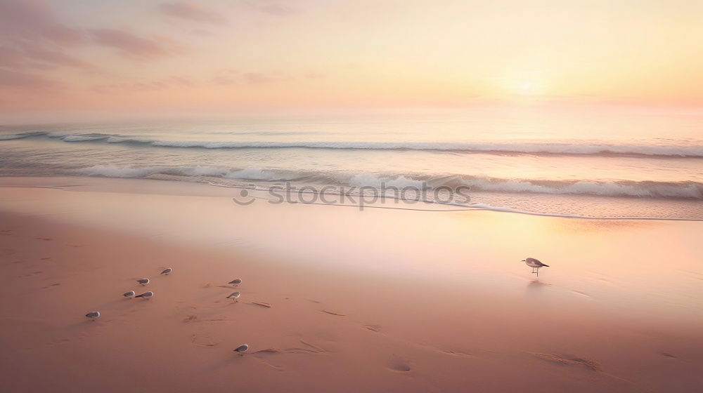 Similar – Image, Stock Photo Starfish on sandy coast near sea