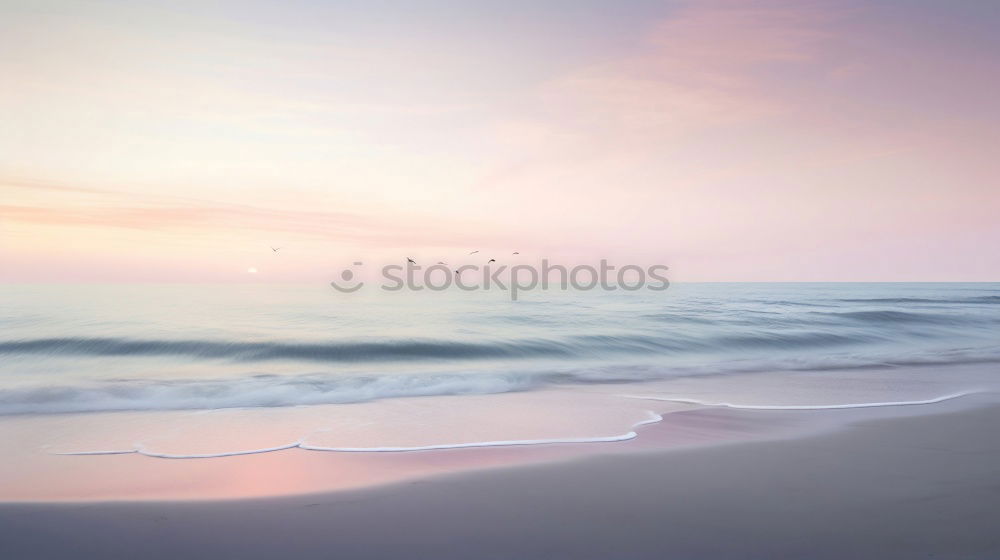 Similar – Image, Stock Photo Starfish on sandy coast near sea