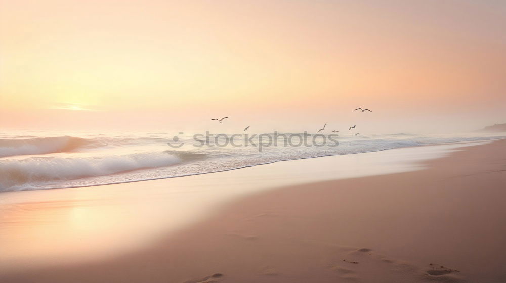 Similar – Image, Stock Photo Seagulls over beach and dunes