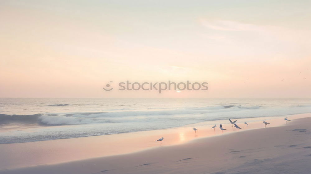 Similar – Image, Stock Photo evening at the beach