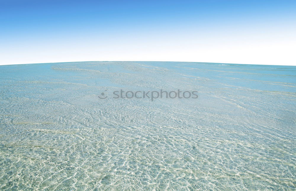Similar – Foto Bild Lebensadern