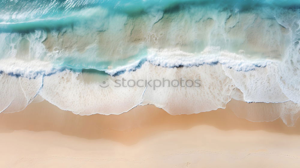 Similar – Image, Stock Photo seashell Mussel Summer