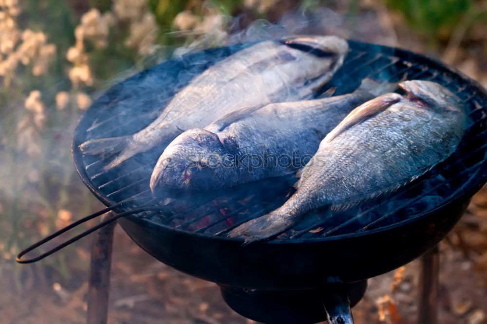 Similar – Grillfisch Fisch