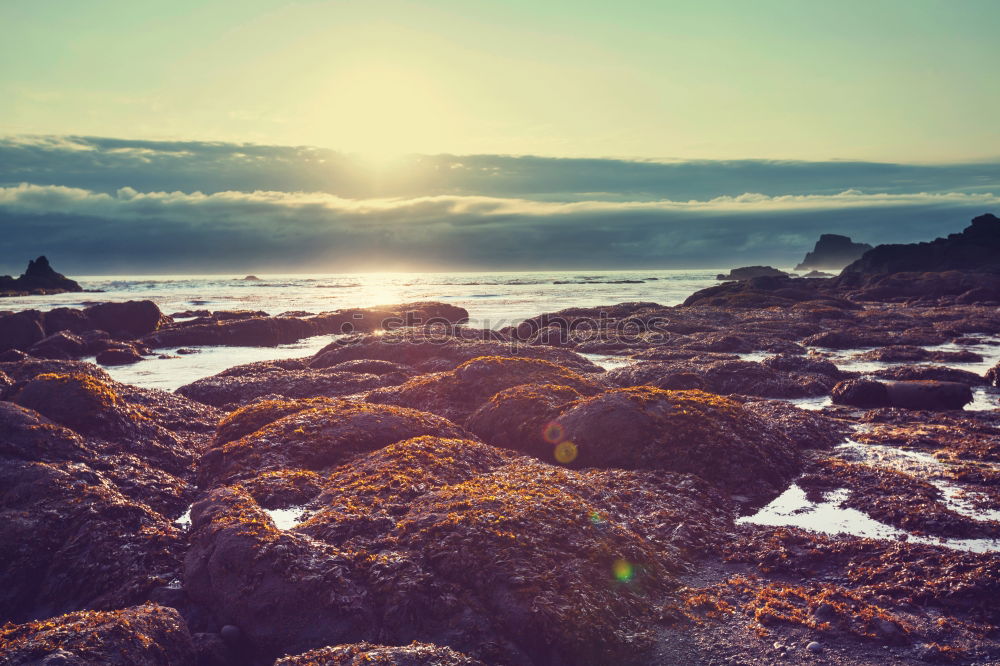 Similar – Evening at the beach in Cornwall