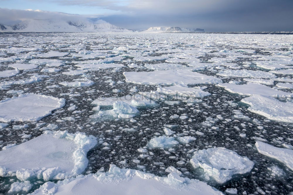 Similar – Beak of ship sailing in ice