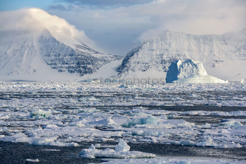 Similar – Antarctica Wild Nature Landscape