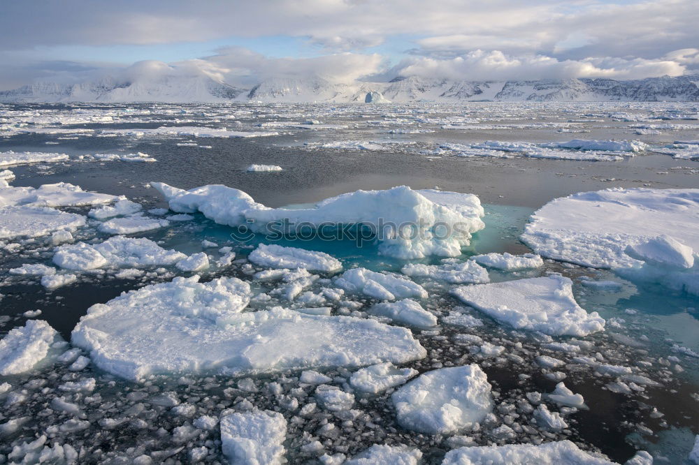 Similar – Antarctica Wild Nature Landscape