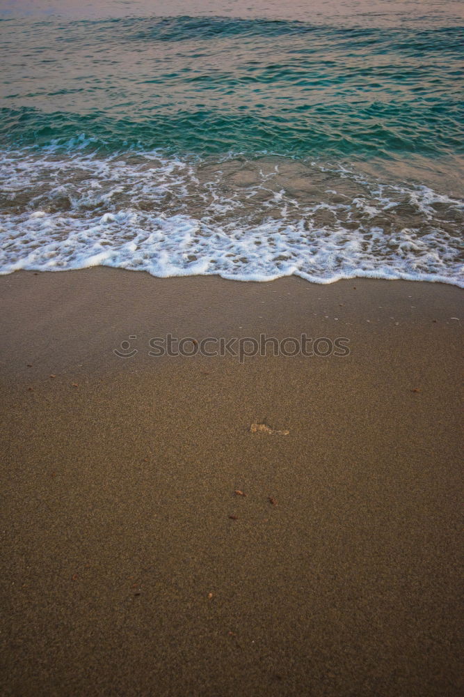 the perfect wave Beach