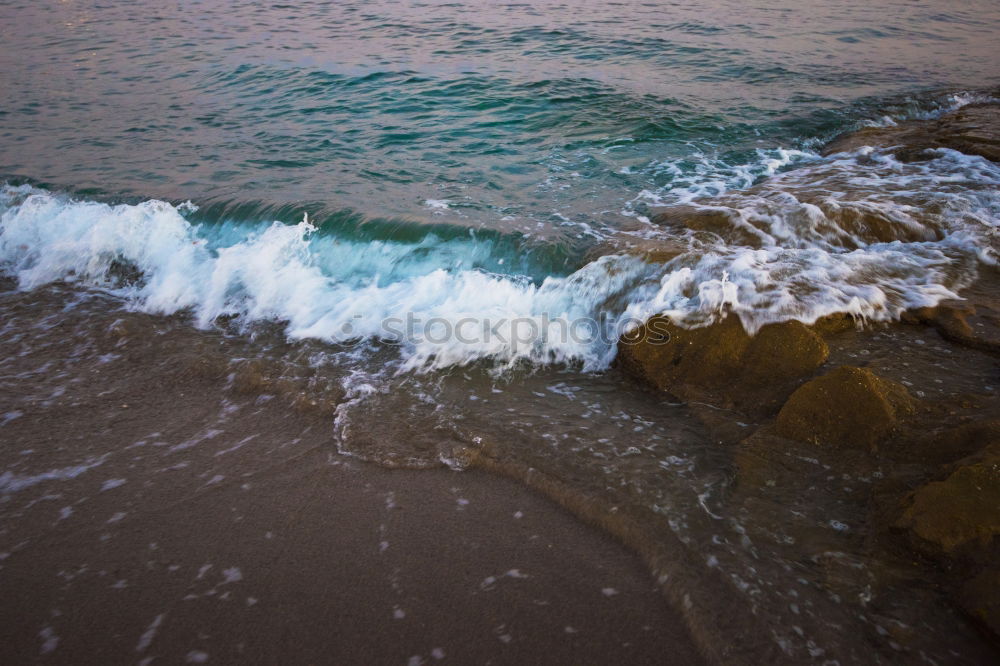 Similar – Image, Stock Photo puny /tree remains on a dune. Down the high sandy beach there are some smaller stones in front of the foaming light surf.