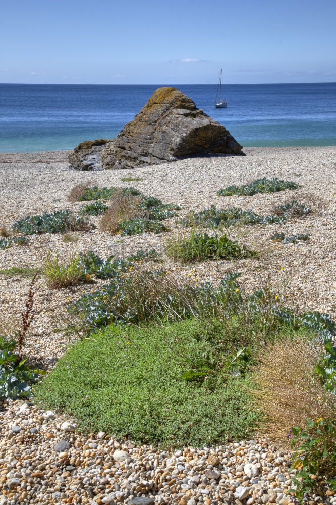 Similar – le cimetière marin