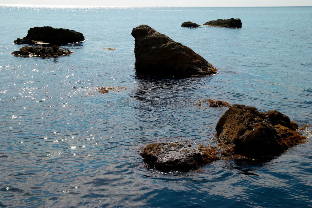 Similar – Image, Stock Photo dream beach Ocean Beach