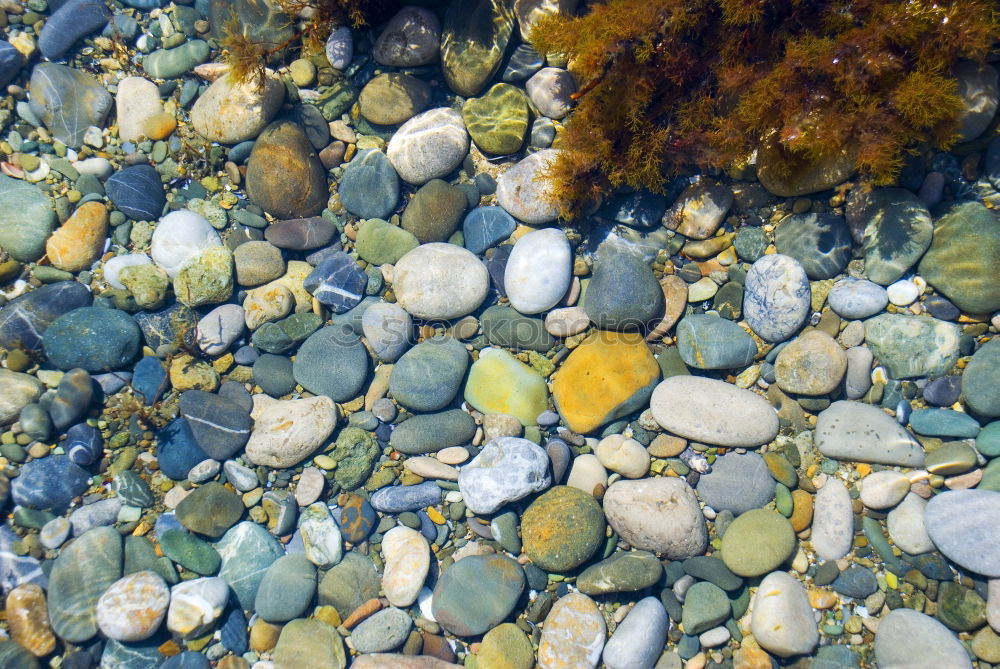 Image, Stock Photo Sedimentary rocks texture