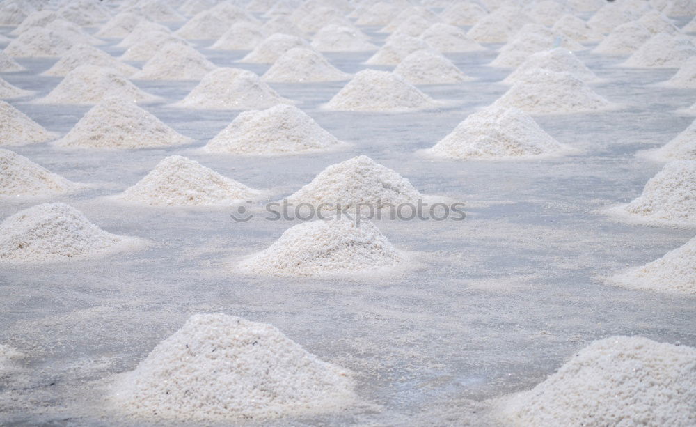 Similar – Image, Stock Photo historical | Black Forest House