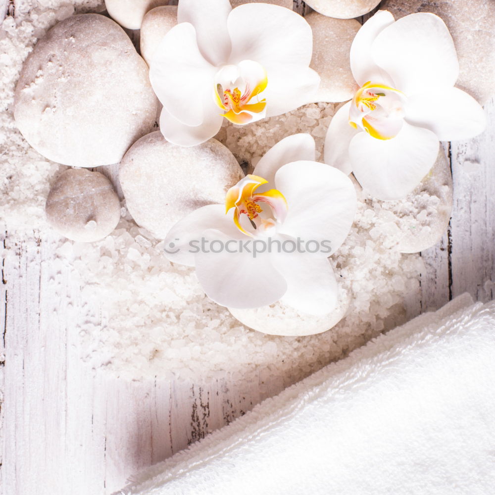 Similar – Image, Stock Photo Easter egg made of concrete decorated with small snowdrops