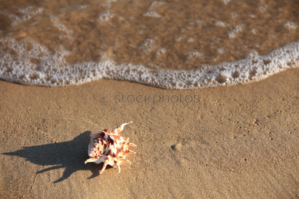 Similar – Image, Stock Photo Heart on the beach