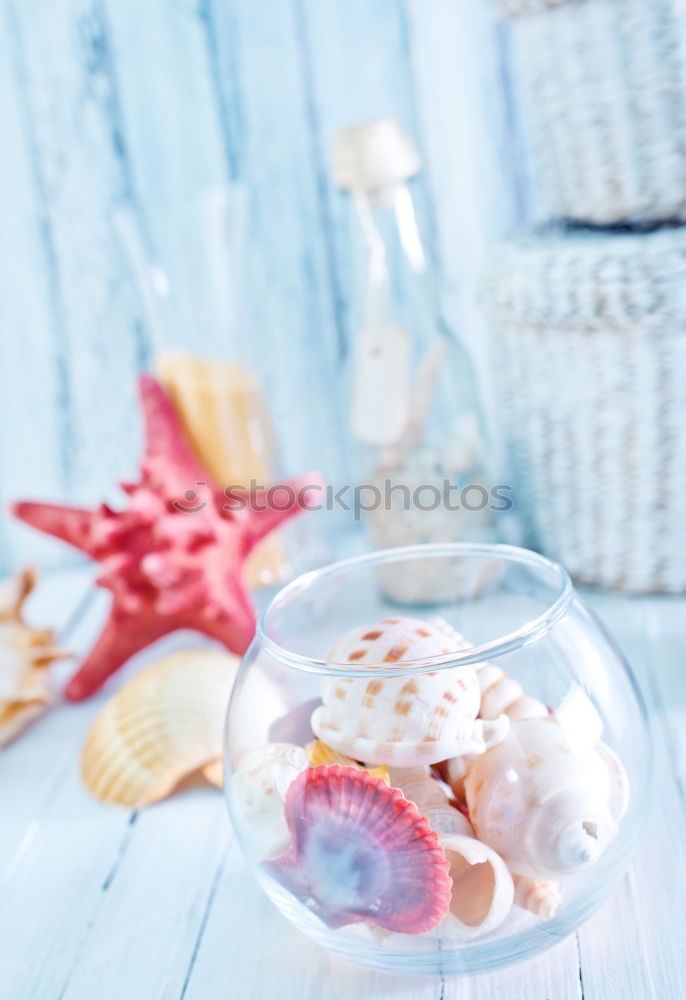 Similar – Image, Stock Photo Sun hat with sunglasses and coconut