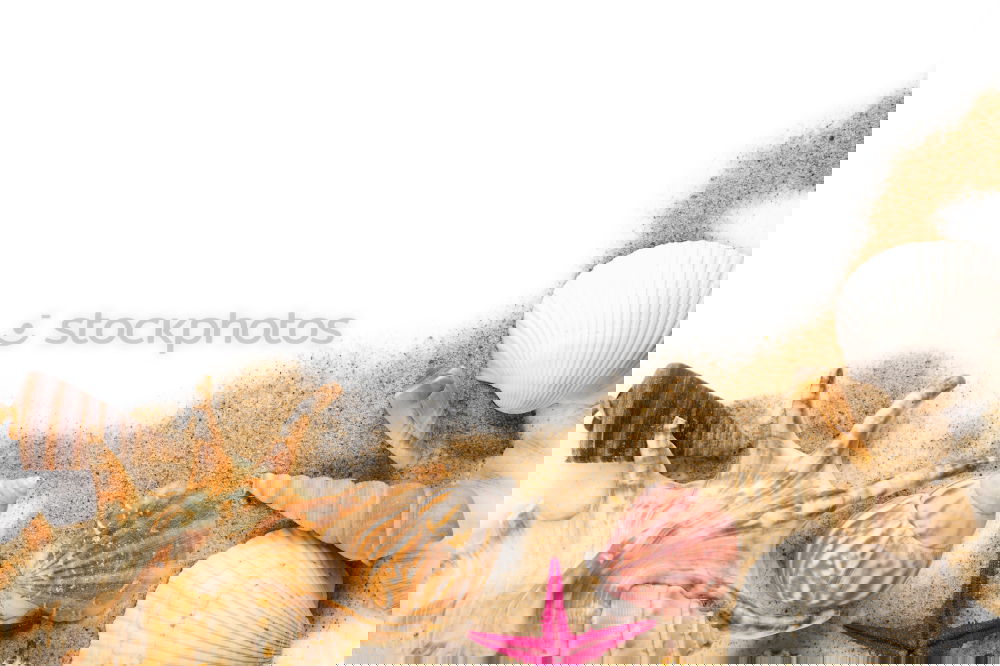 Similar – Image, Stock Photo collecting frenzy II