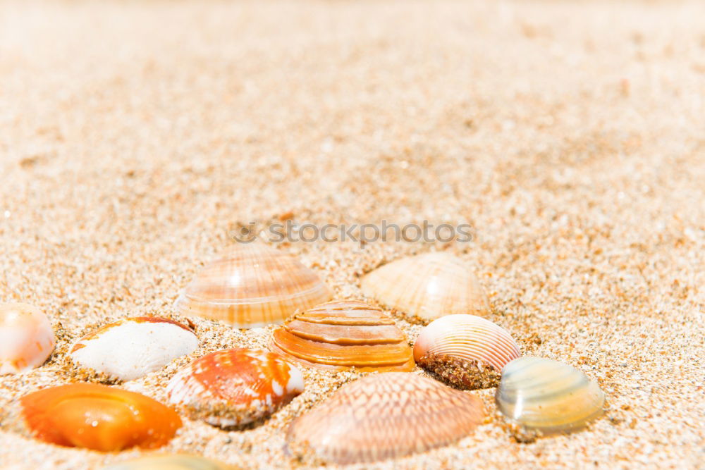 Similar – Image, Stock Photo Funny face made of sand