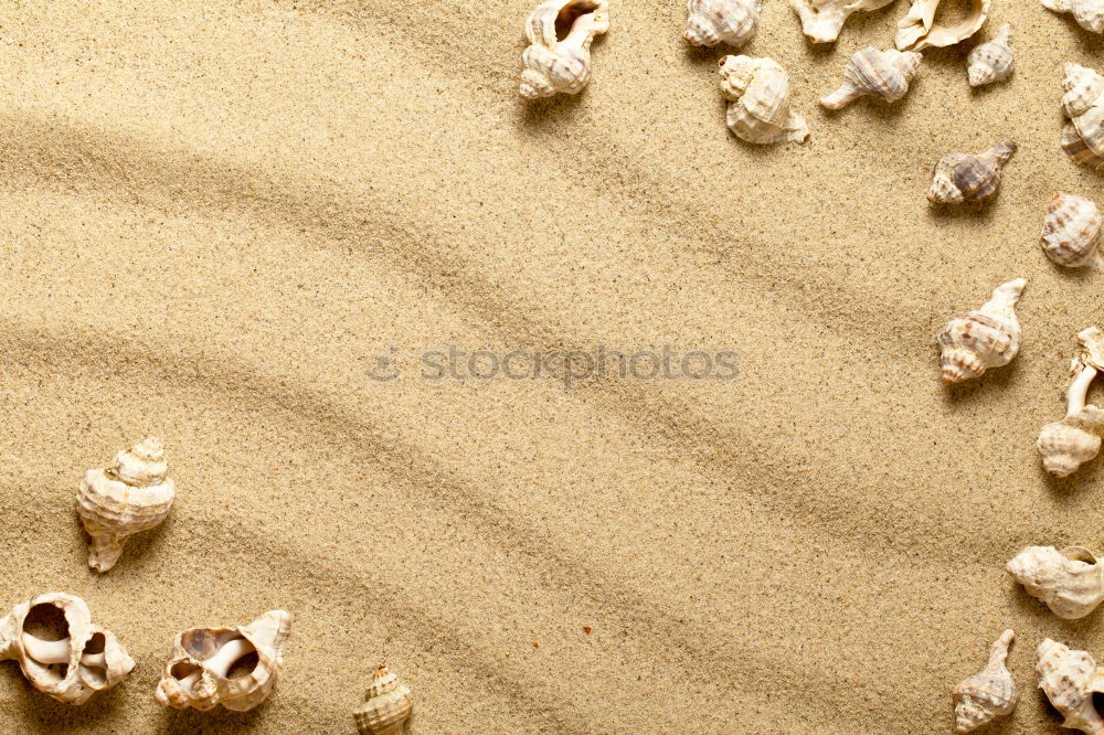 Similar – Image, Stock Photo Sandpit shovel in the sand