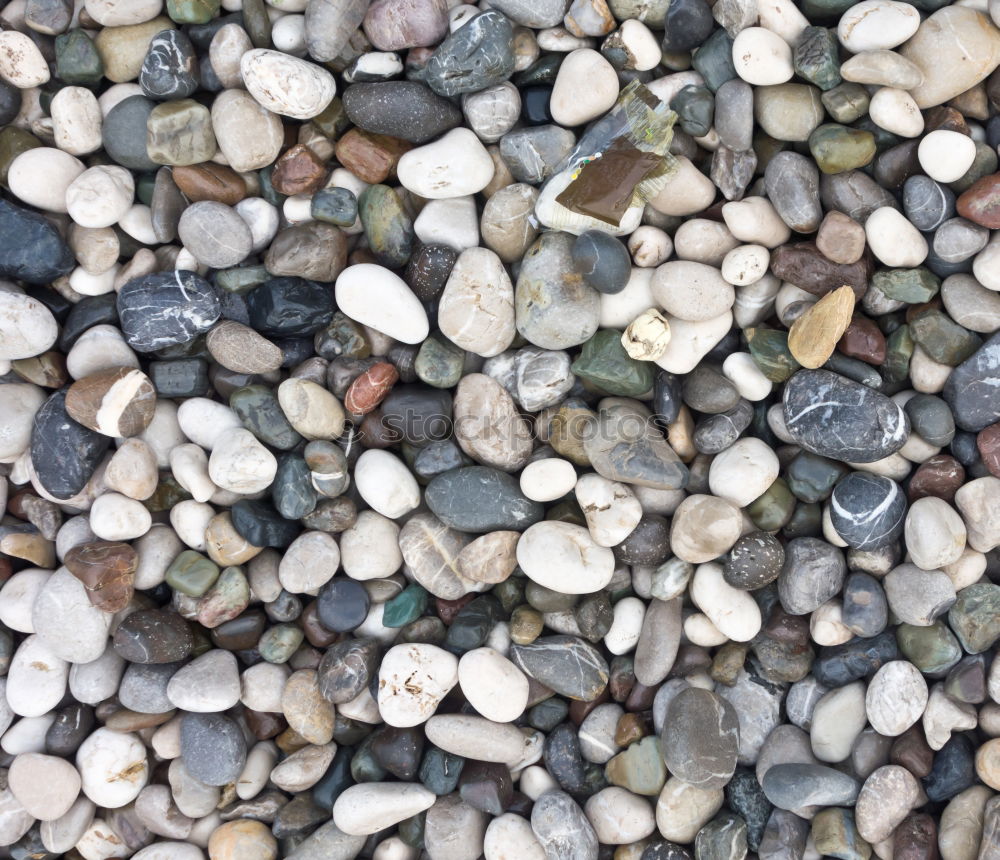 Similar – pebbles Stony Hard