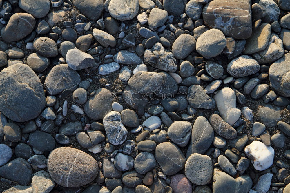 Similar – stones Beach Stone