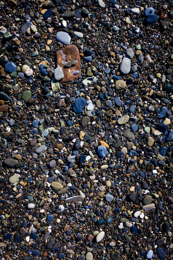 Similar – Image, Stock Photo Stone beach with a shell at the North Sea