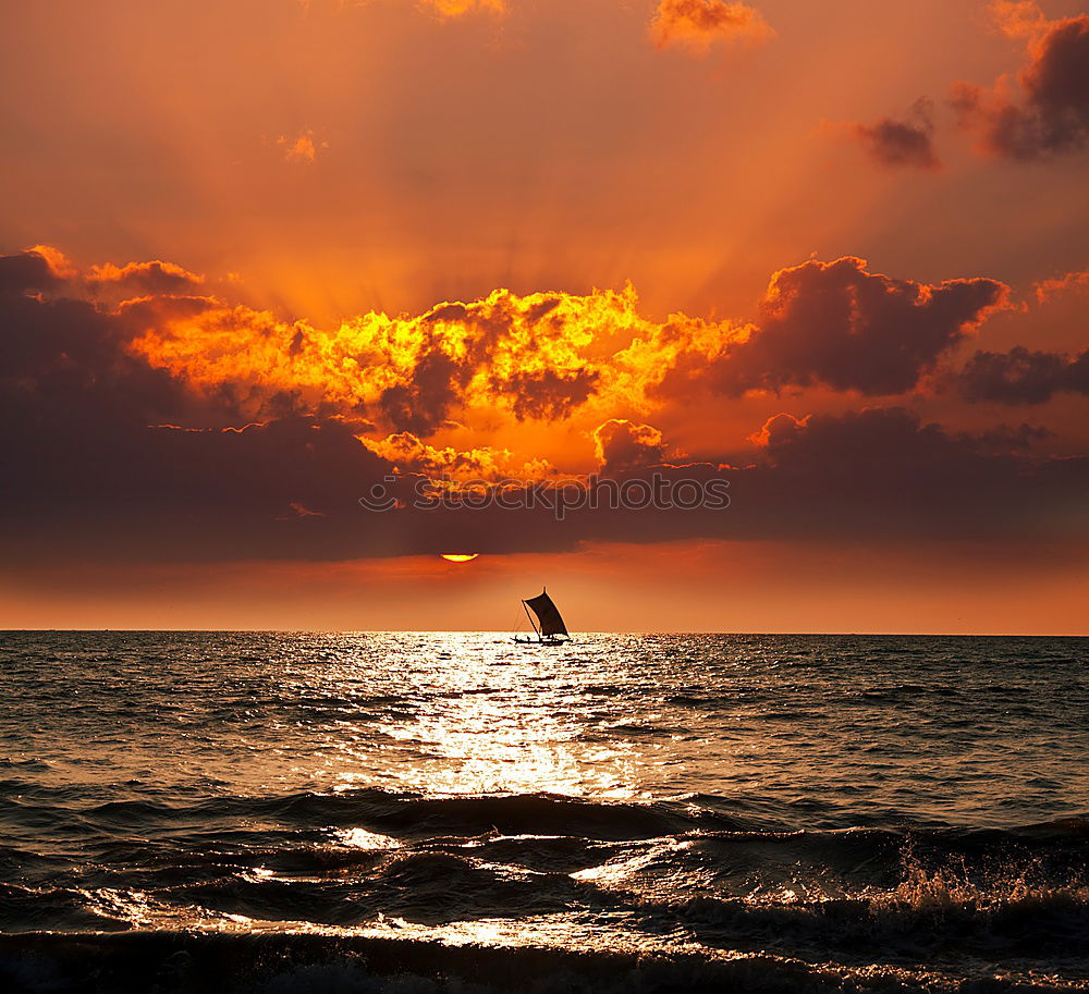 Similar – Image, Stock Photo Nightsurfing Kitesurfers