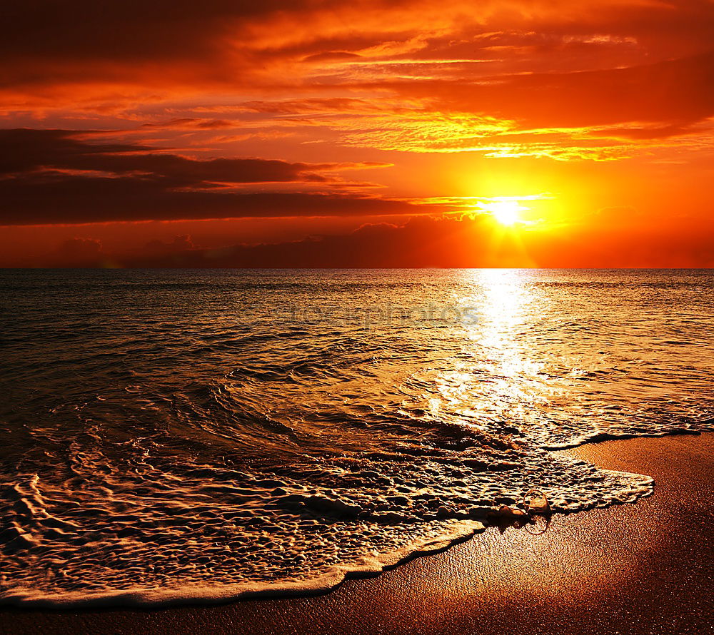 Similar – Image, Stock Photo Island Föhr Sun sea. beach