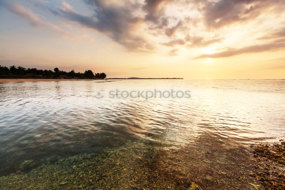 Similar – Olive trees, sea and sunset.