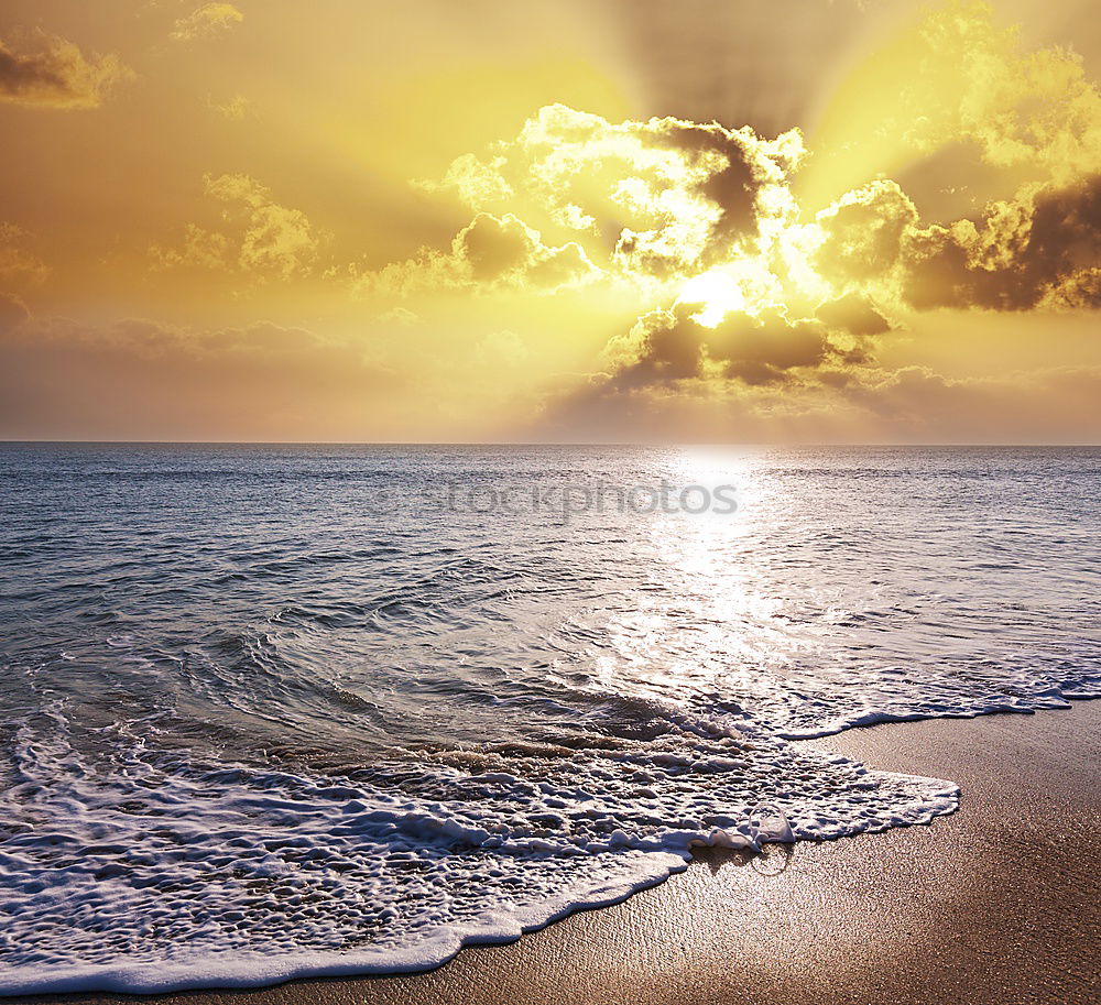 Similar – Image, Stock Photo Sunset with surfer backlit on sandy beach in Azores