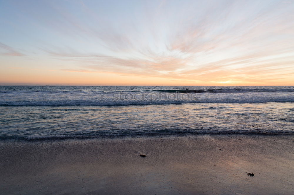 Similar – lonely tree on the beach