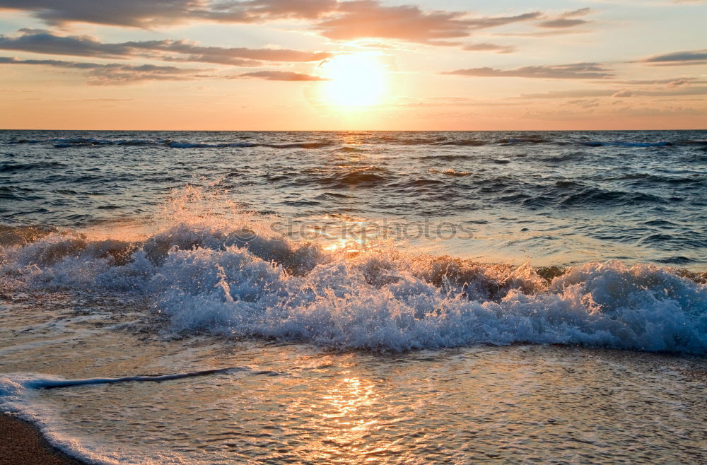 Similar – Image, Stock Photo Sea of sun. Environment