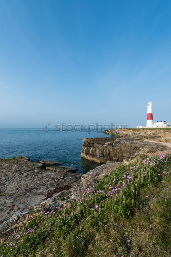 Similar – Image, Stock Photo Lighthouse Dornbusch on Hiddensee