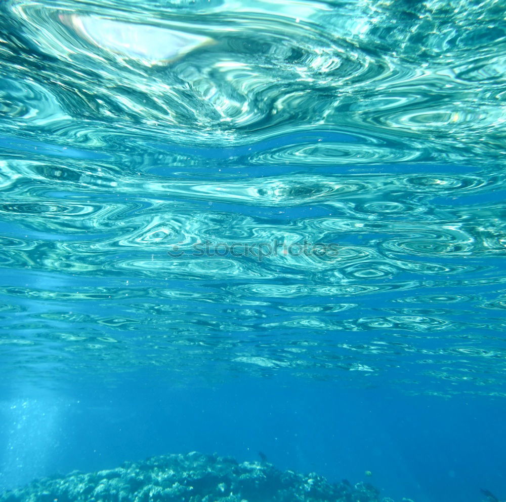 Similar – Image, Stock Photo Blue. Swimming & Bathing