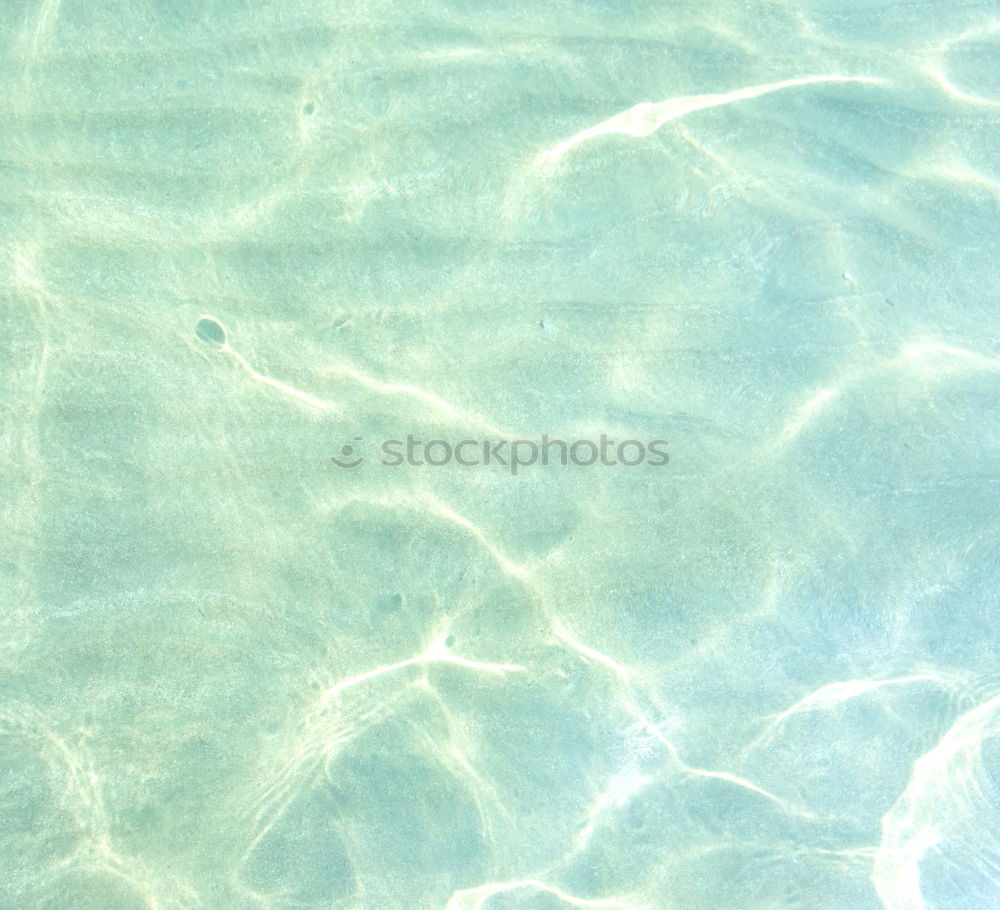 Similar – Image, Stock Photo Clear Indian Ocean underwater