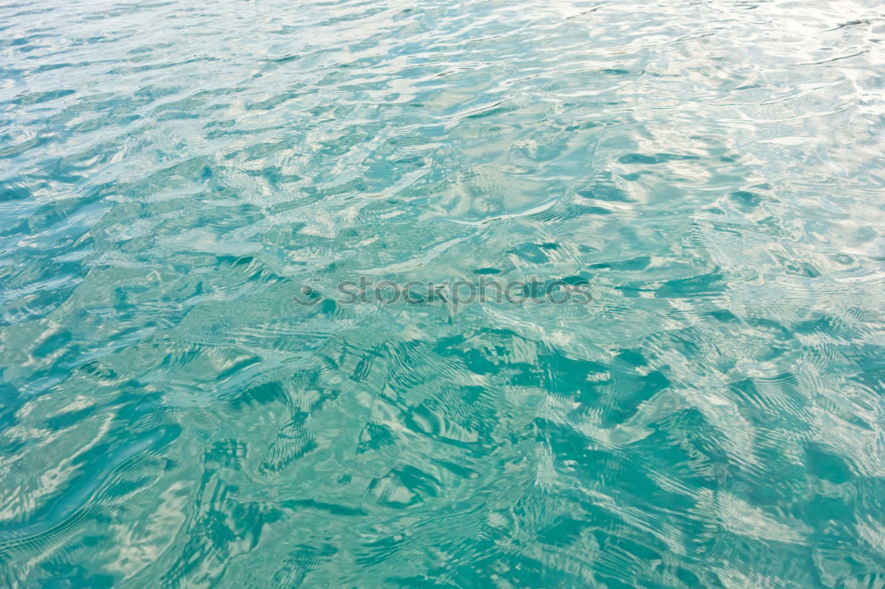 Similar – Image, Stock Photo silver Puddle Reflection