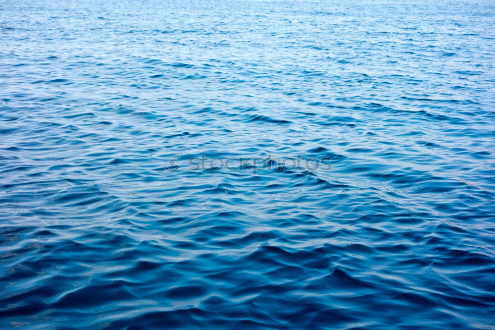 Similar – Blue water with sun line