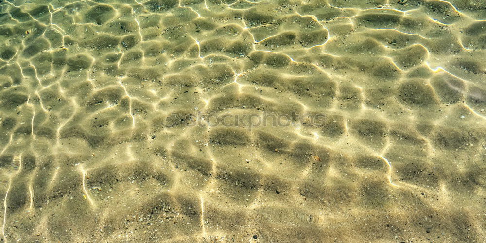 Dry feet Water Beach Sand