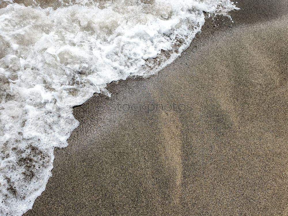 Similar – Wind am Meer weiß Muschel