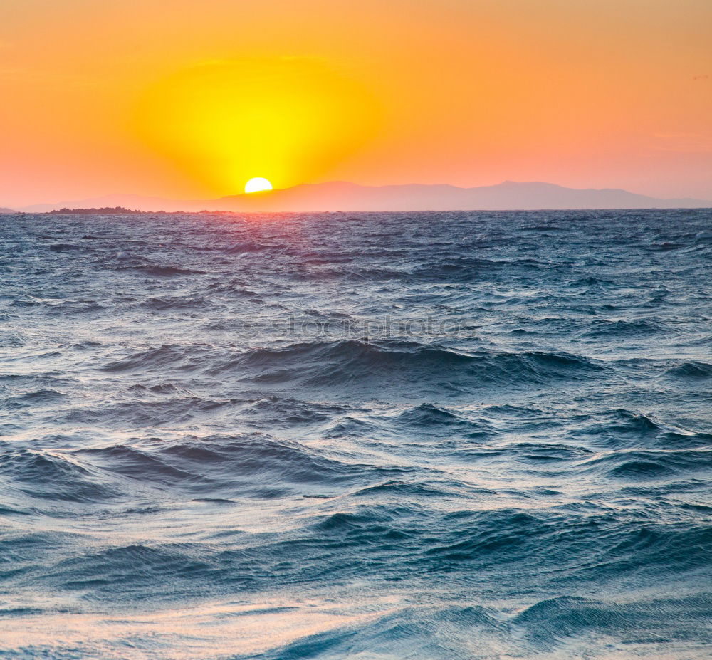 Similar – Image, Stock Photo Sea of sun. Environment