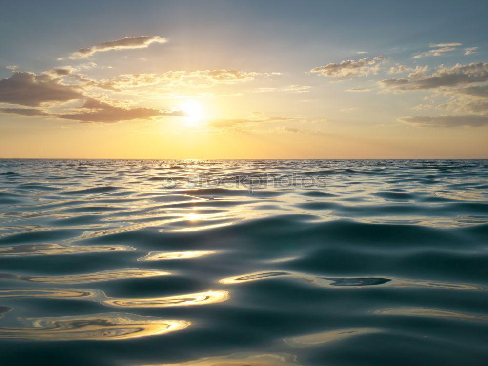 Similar – Image, Stock Photo By the sea Back-light Jump