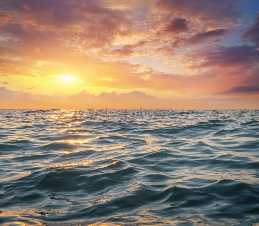 Similar – Image, Stock Photo By the sea Back-light Jump