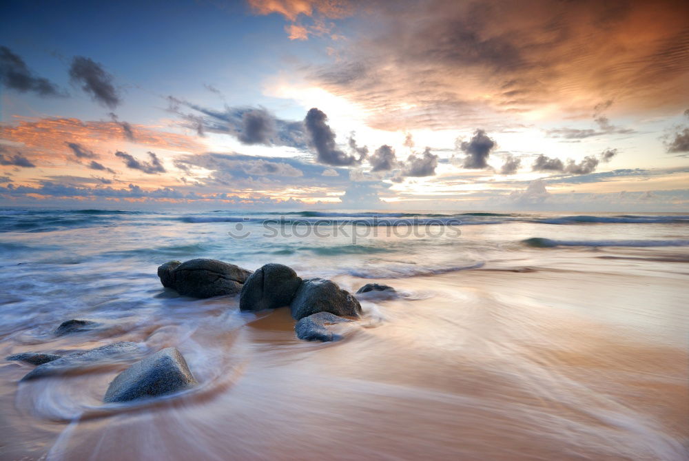 Similar – seaweed Environment Nature