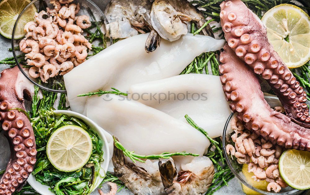 Similar – Raw prawn or shrimps and squids on light blue background, decorated with with seaweeds and lemon, top view, flat lay. Seafood cooking concept