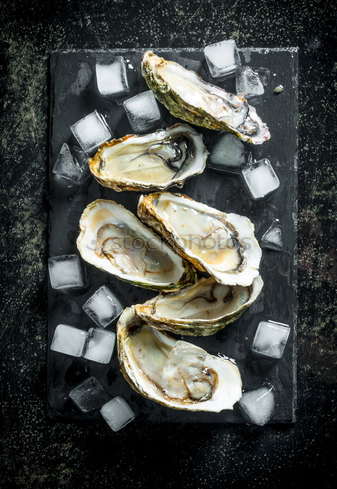 Similar – Oyster platter with lemon and various sauces